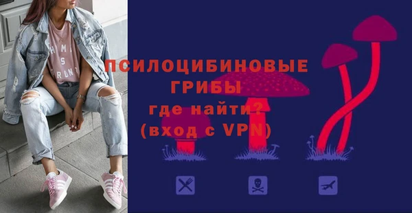 сатива Армянск
