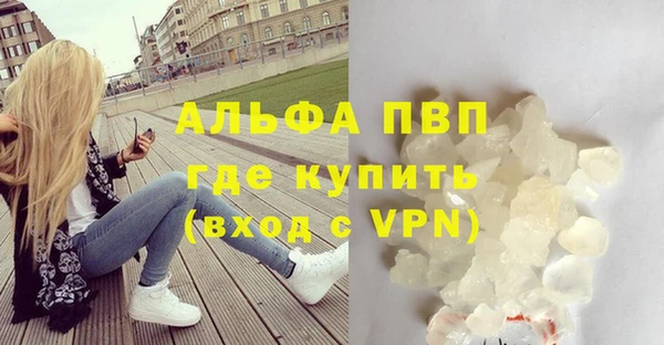 сатива Армянск