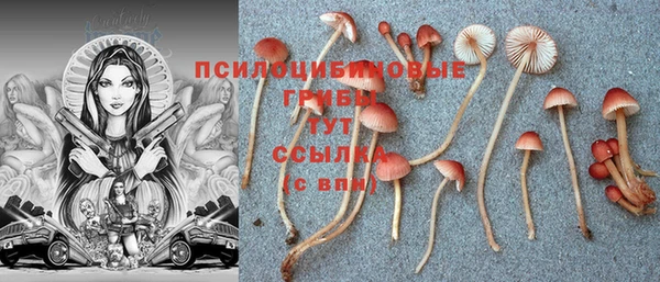 соль ск Нягань